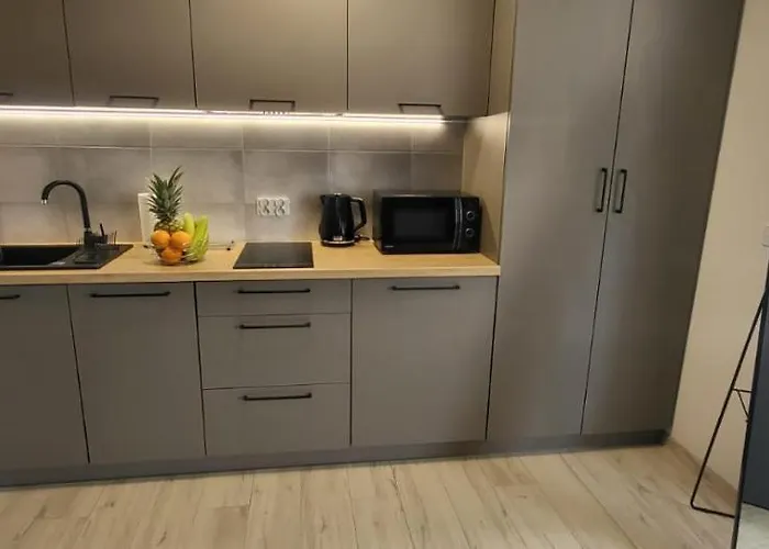 Centrum Prusa 210 Apartament *